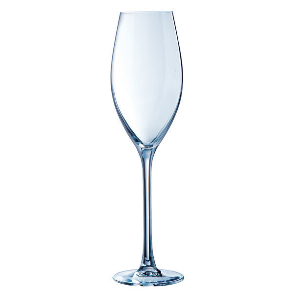 Chef & Sommelier Champagne Flutes