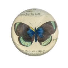 John Derian Black Green Butterfly Paperweight
