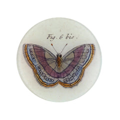 John Derian Fig. 6 Butterfly Round Plate
