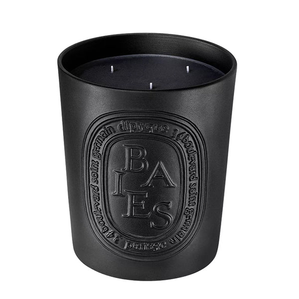Diptyque Baies Large Candle