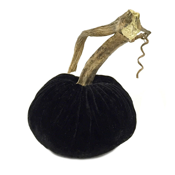 Plush Pumpkin Black Mink Large Velvet Pumpkin