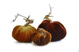 Plush Pumpkin Autumn Trio Assortment