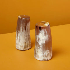 Horn Salt & Pepper Set